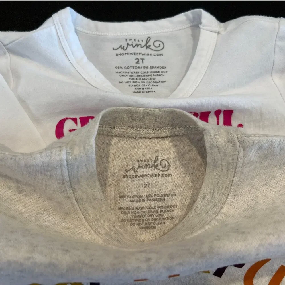 6 Piece Holiday Top Bundle Sweet Wink J.Crew Zara Thanksgiving Christmas, 2T